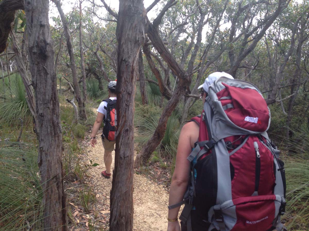 Bells beach & ironbark forest hike 15