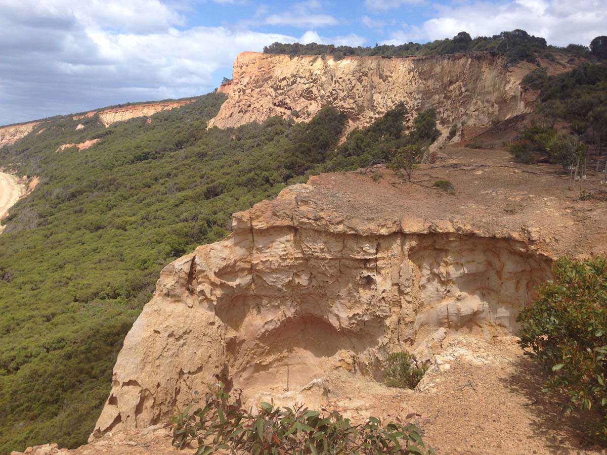 Bells beach & ironbark forest hike 18