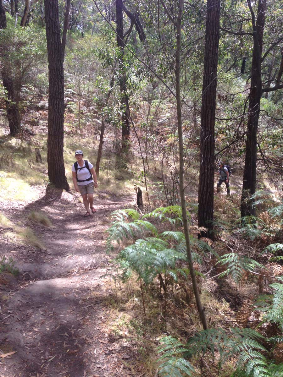 Bells beach & ironbark forest hike 22