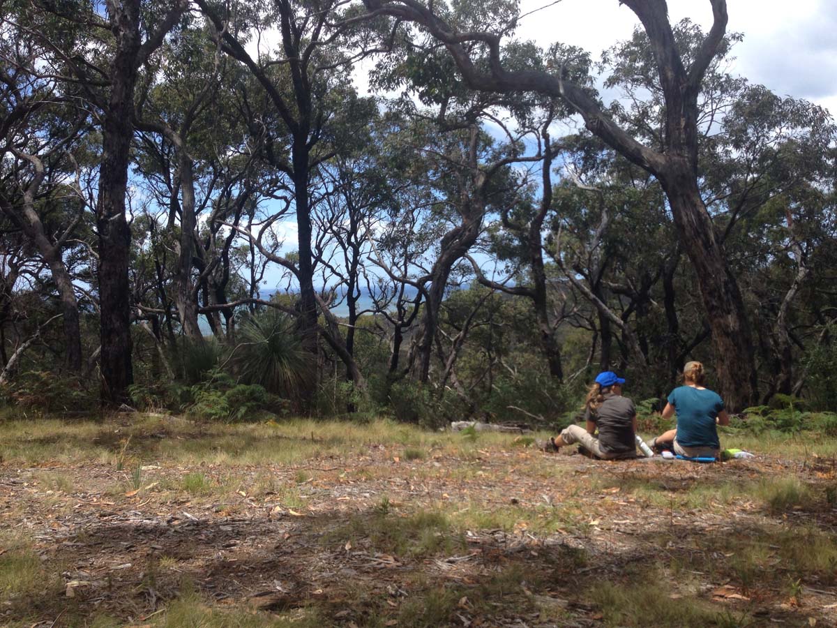 Bells beach & ironbark forest hike 23