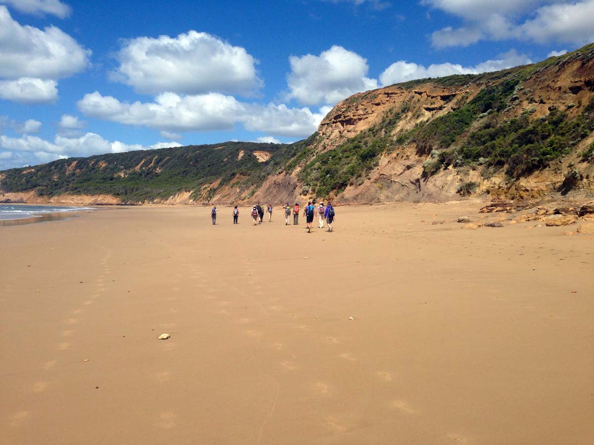 Bells beach & ironbark forest hike 3