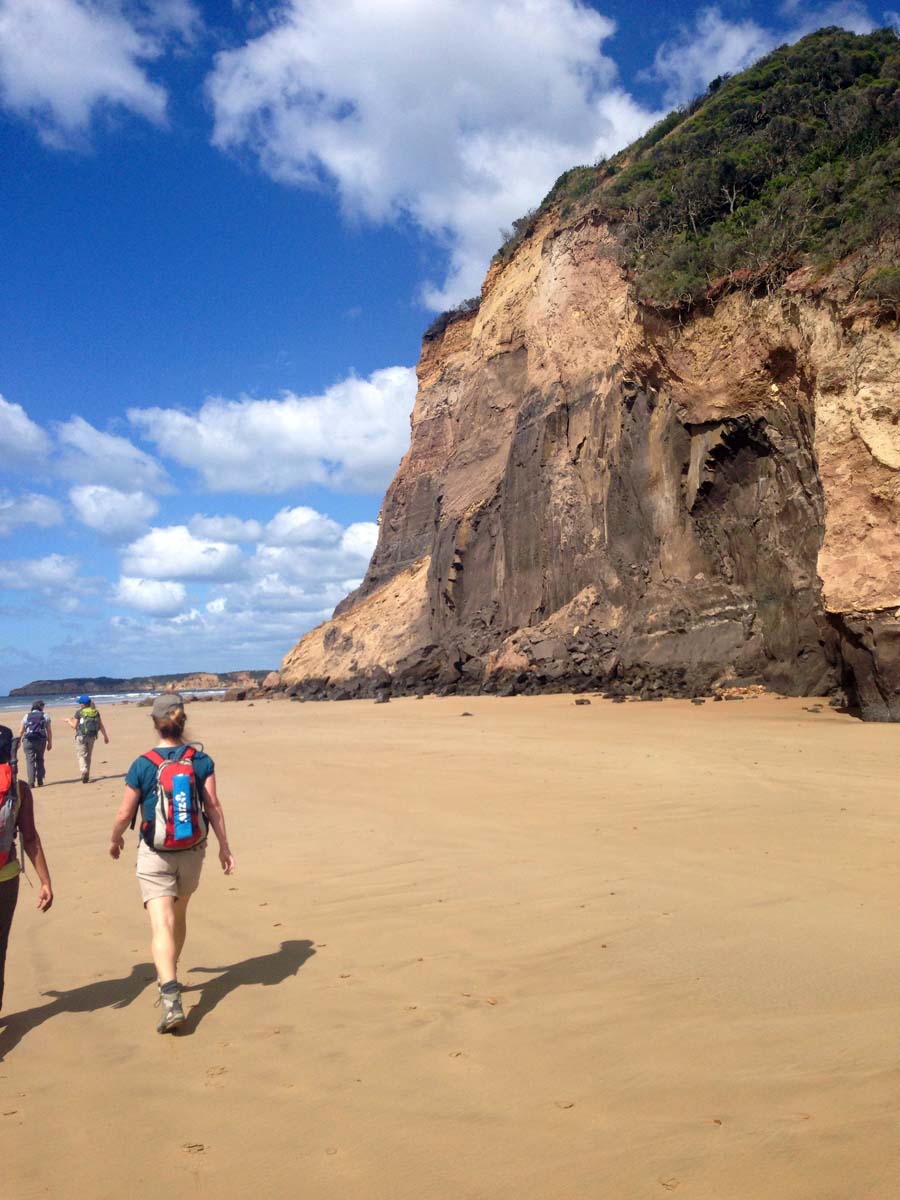 Bells beach & ironbark forest hike 4