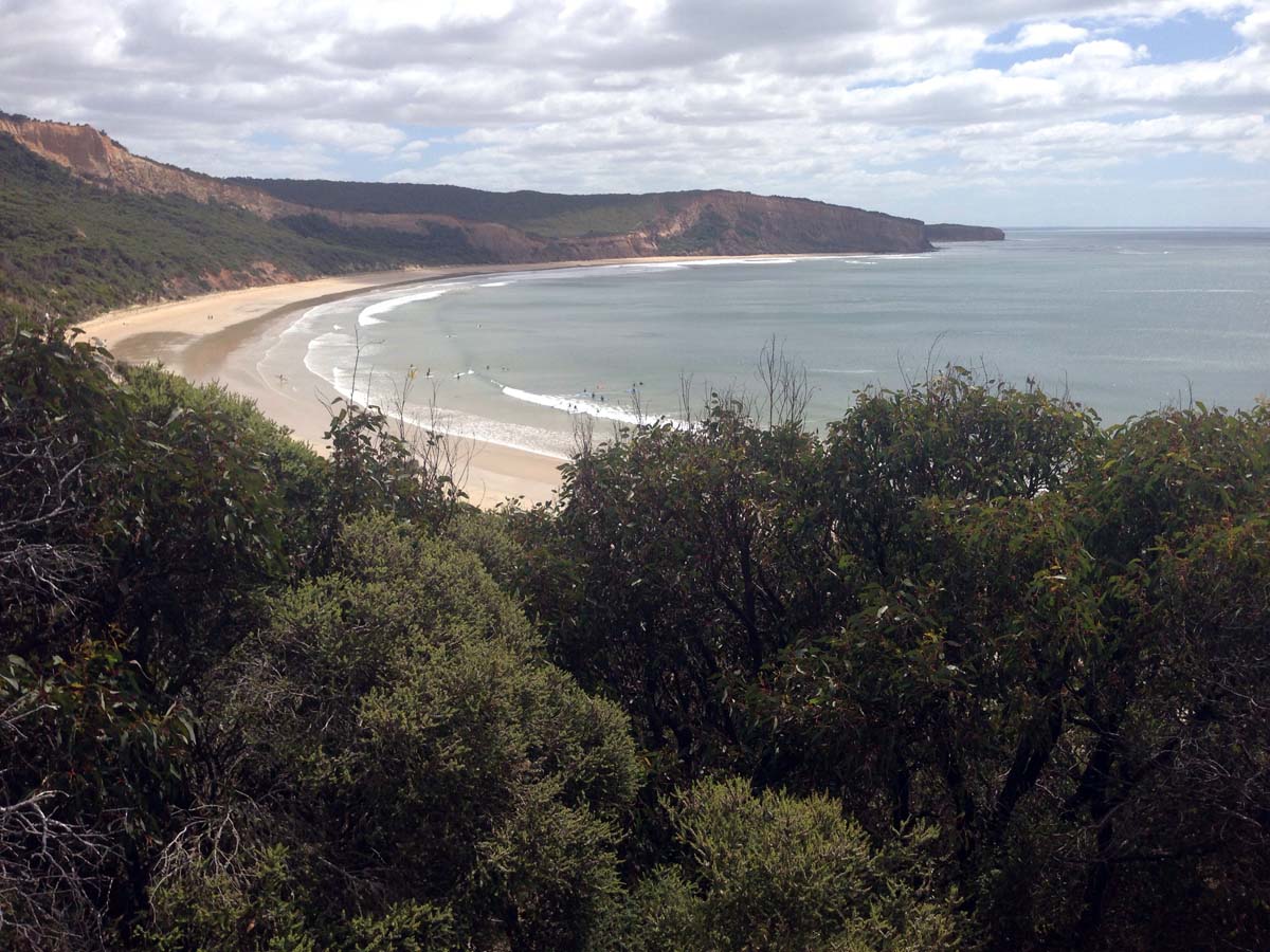 Bells beach & ironbark forest hike 6