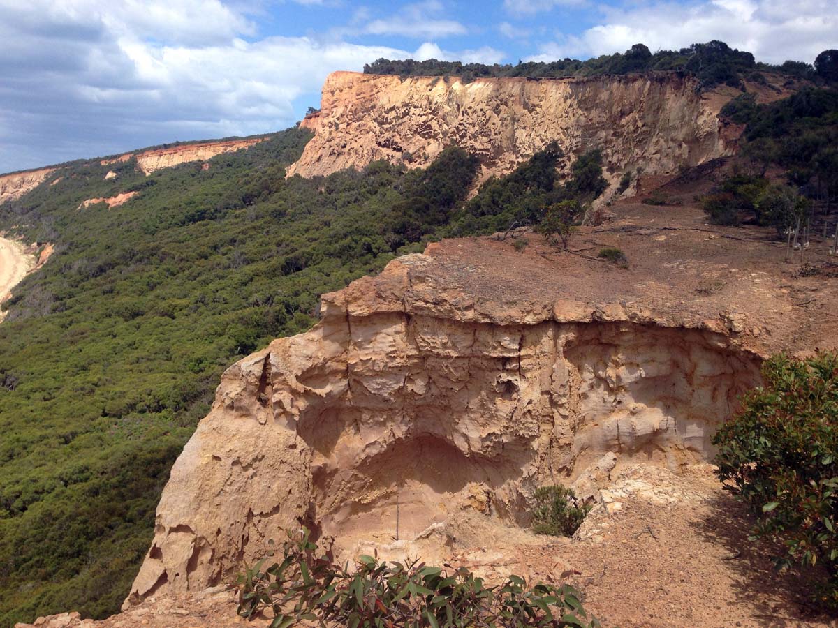 Bells beach & ironbark forest hike 8