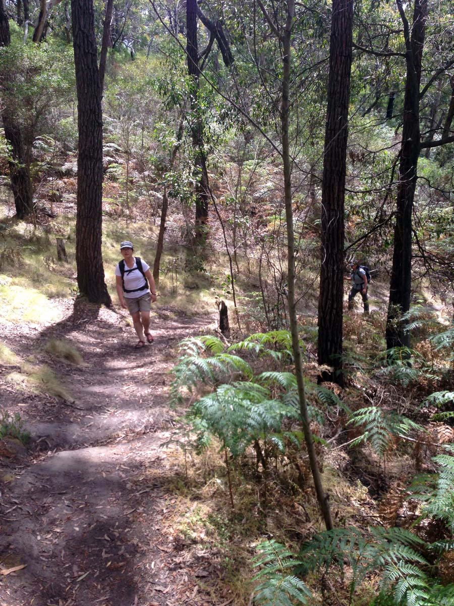 Bells beach & ironbark forest hike 9