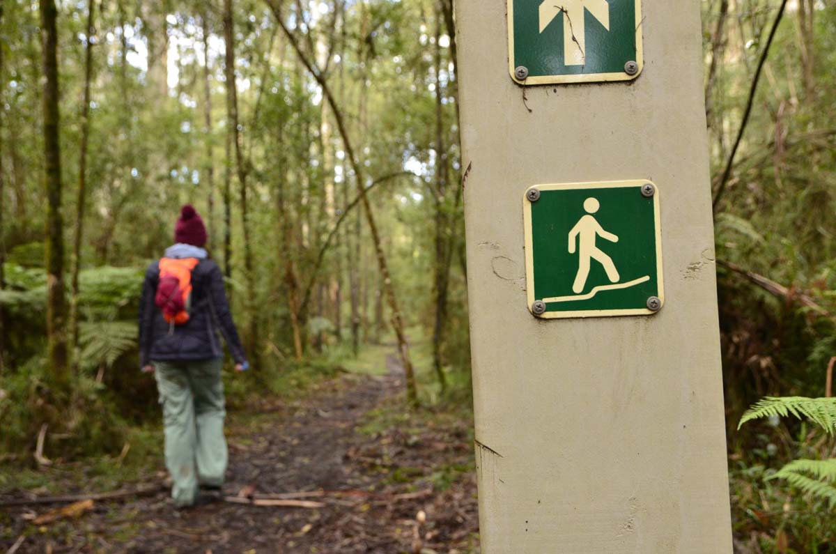 Big pats creek to starlings gap hike 10