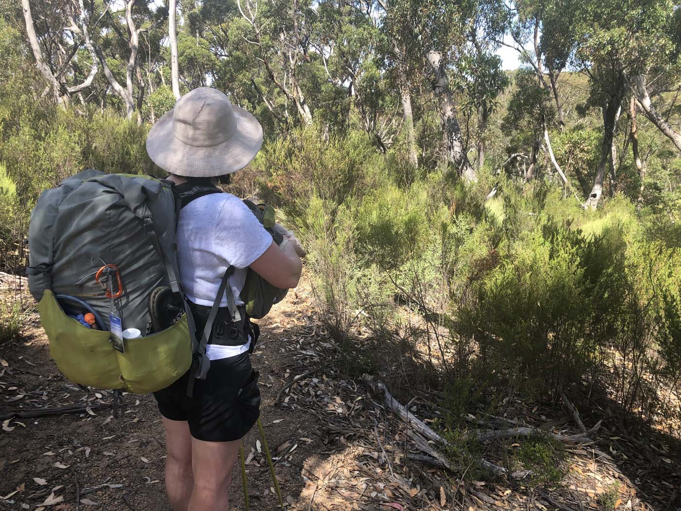 Black swamp circuit hike (11)