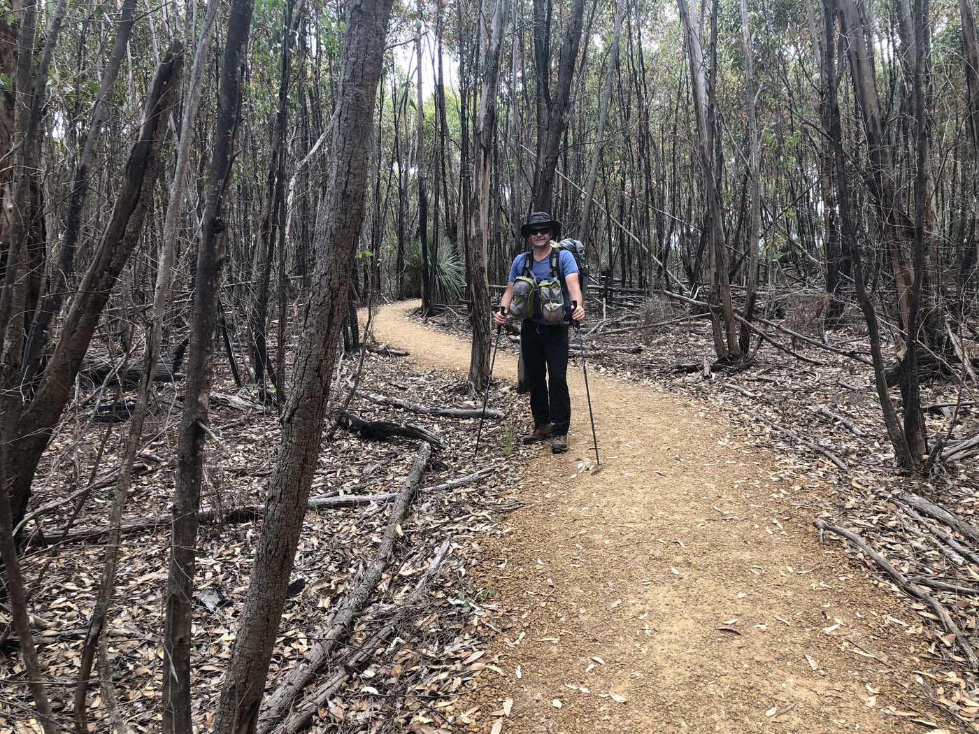 Black swamp circuit hike (3)