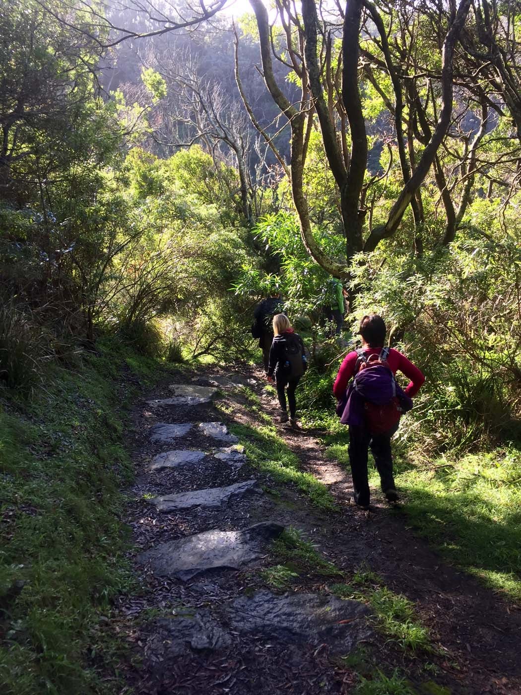 Blanket bay to cape otway (10)
