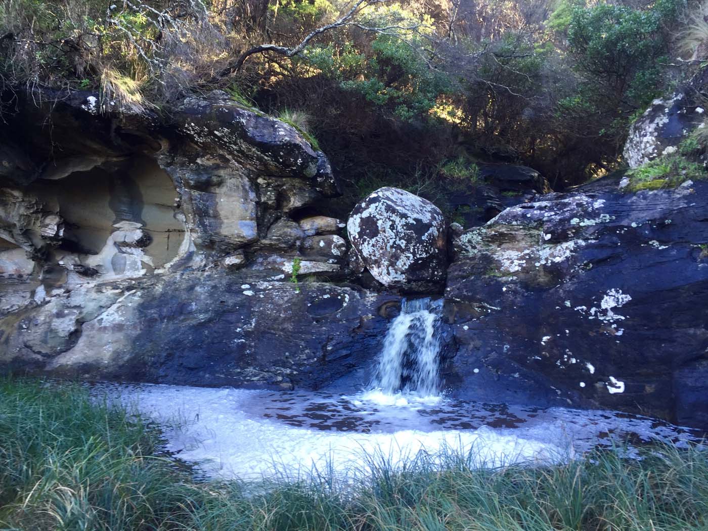 Blanket bay to cape otway (13)