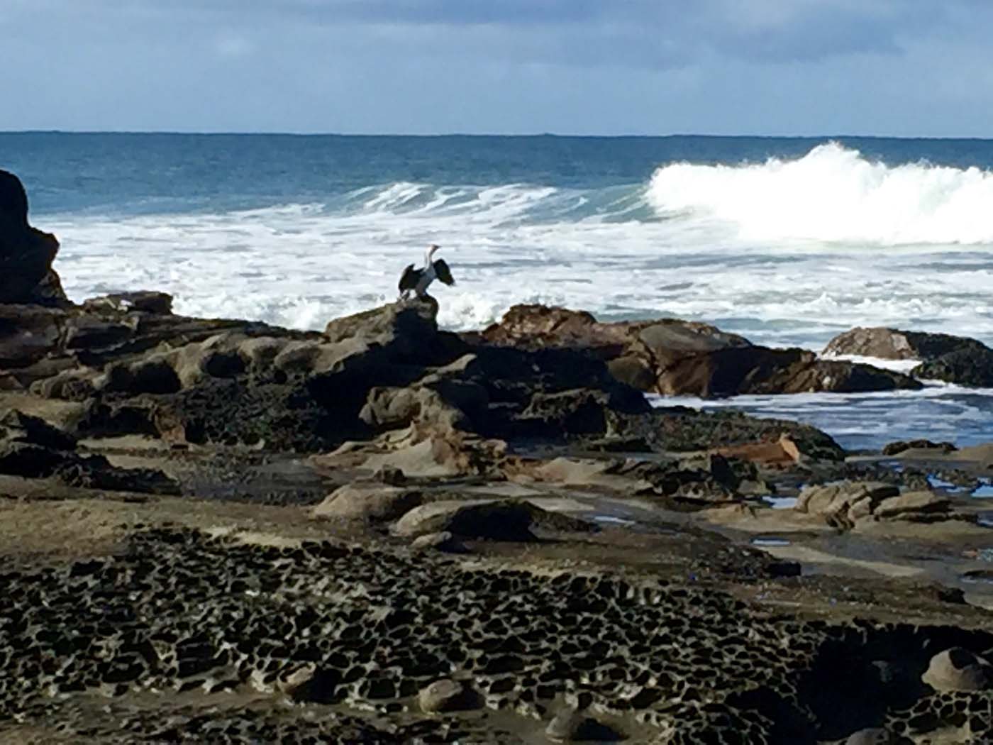 Blanket bay to cape otway (17)