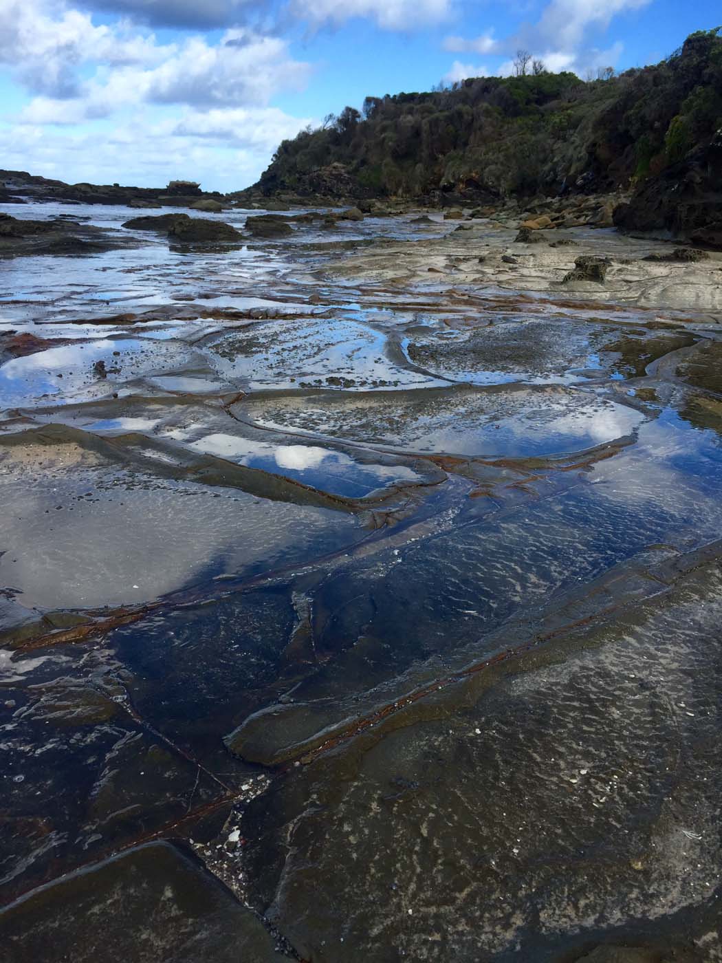 Blanket bay to cape otway (25)