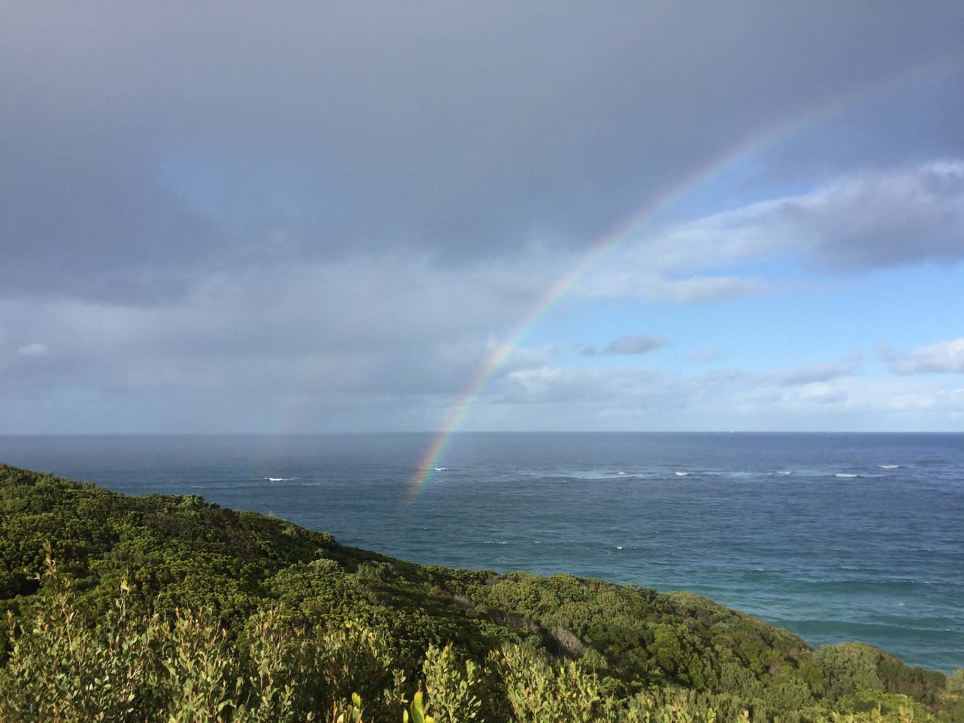 Blanket bay to cape otway (3)
