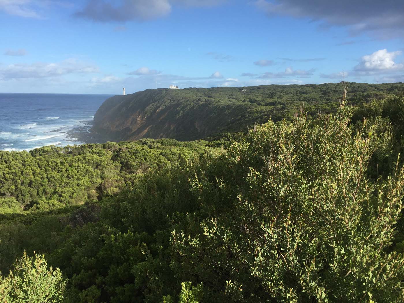 Blanket bay to cape otway (4)