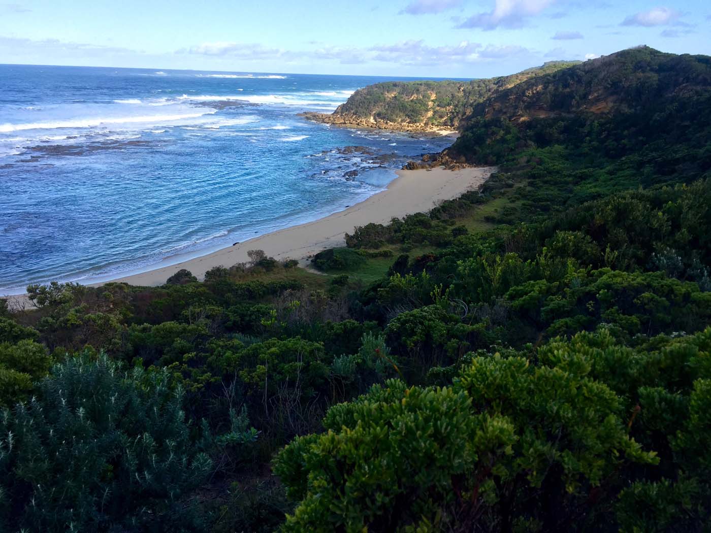 Blanket bay to cape otway (7)