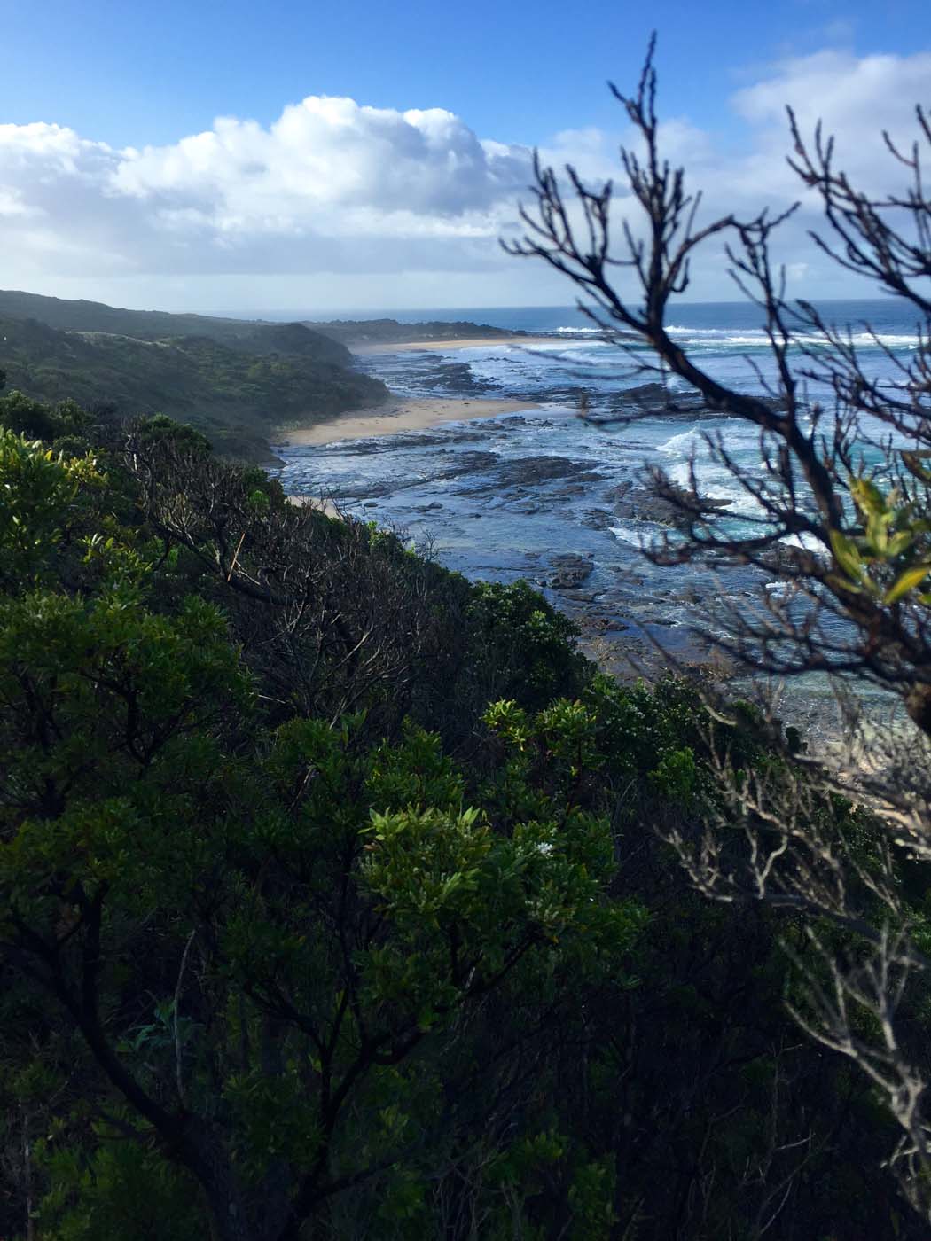 Blanket bay to cape otway (8)