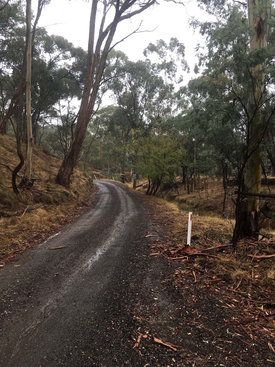 Blowhole & bald hill hike 12