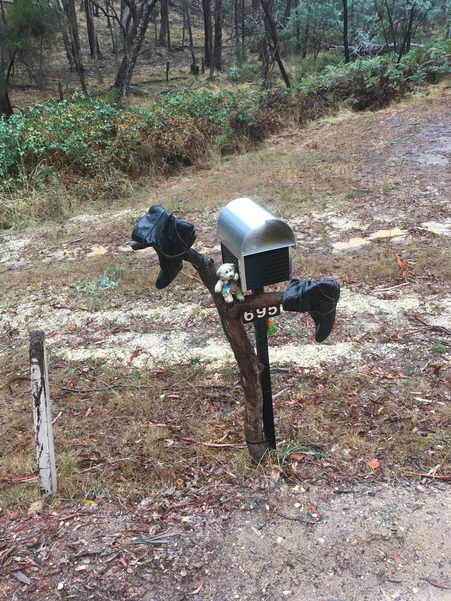 Blowhole & bald hill hike 14