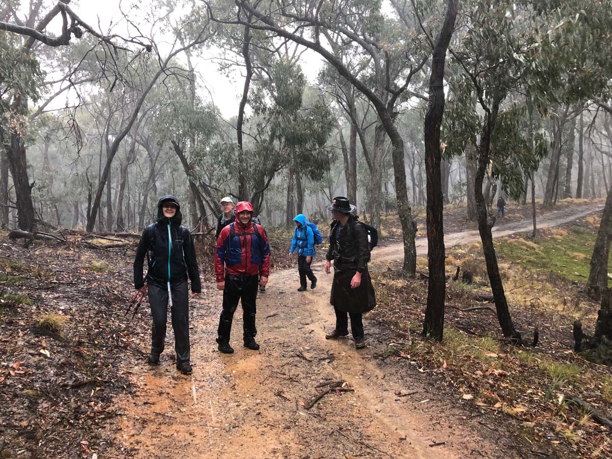 Blowhole & bald hill hike 4