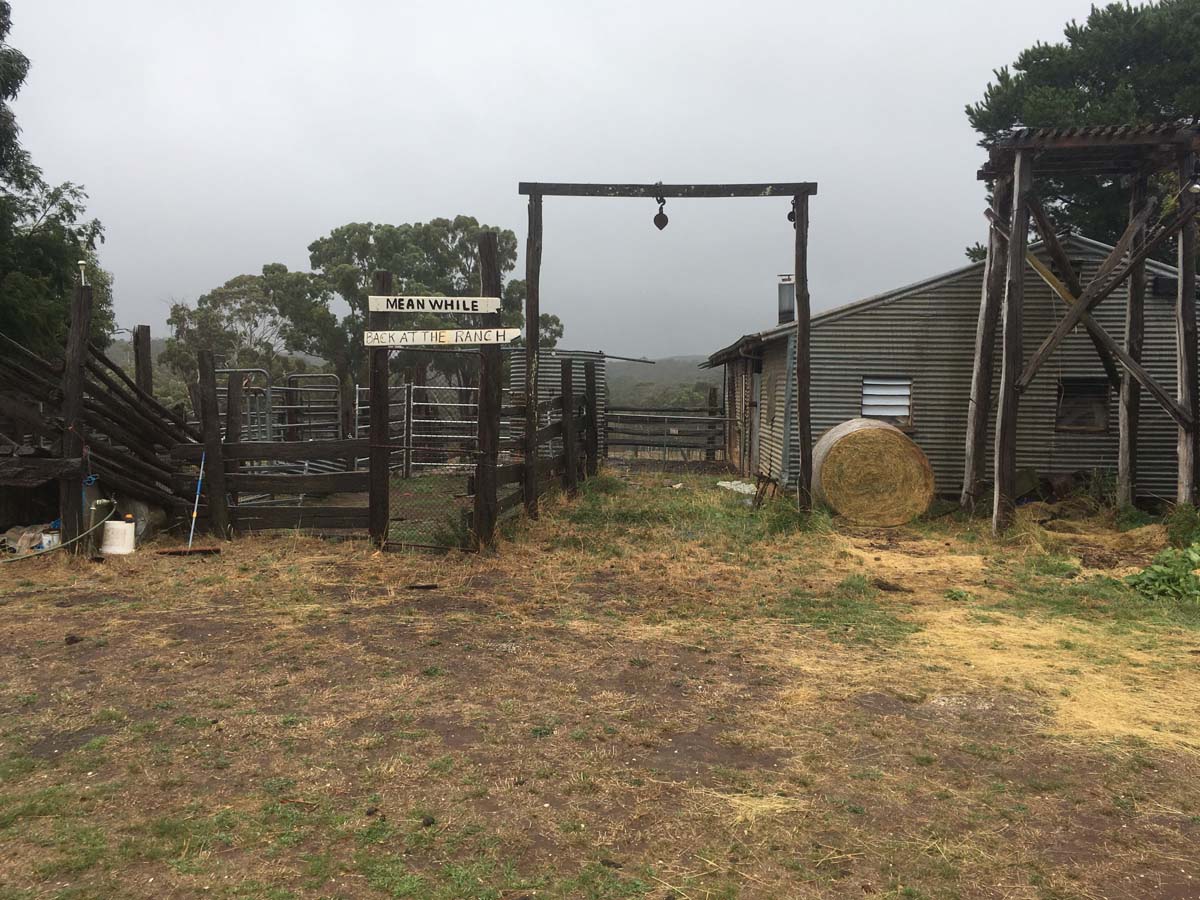 Blowhole & bald hill hike 5