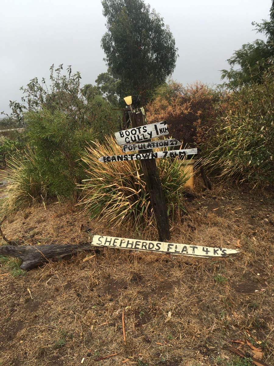 Blowhole & bald hill hike 7