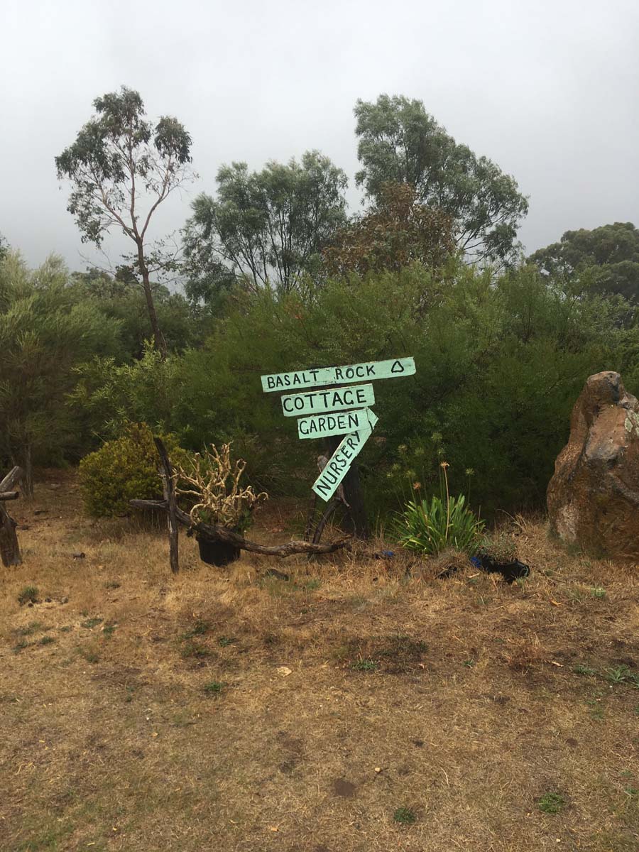 Blowhole & bald hill hike 8