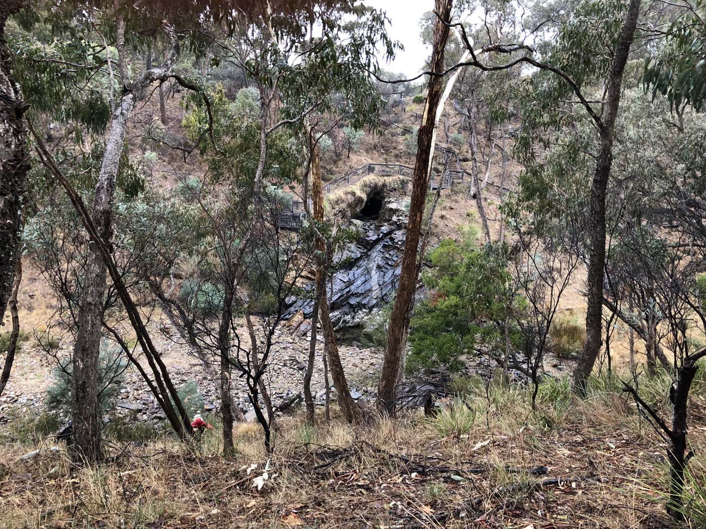 Blowhole to shepherds flat (2)
