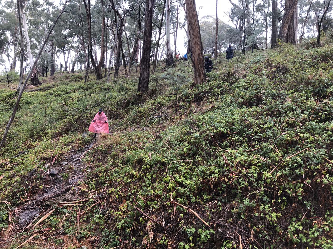 Blowhole to shepherds flat (8)