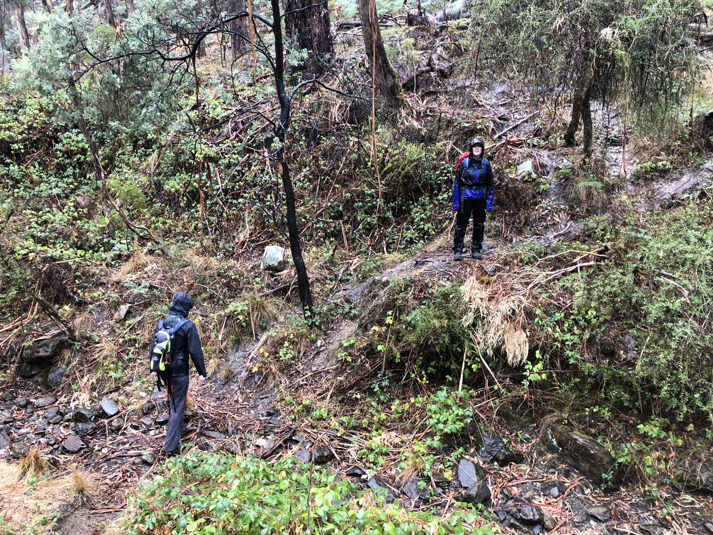 Blowhole to shepherds flat (9)