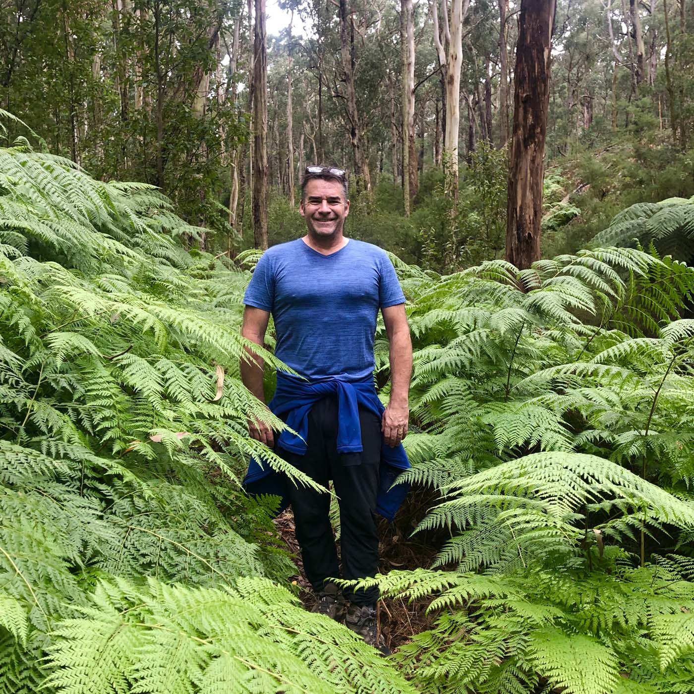 Blue gum loop hike (14)