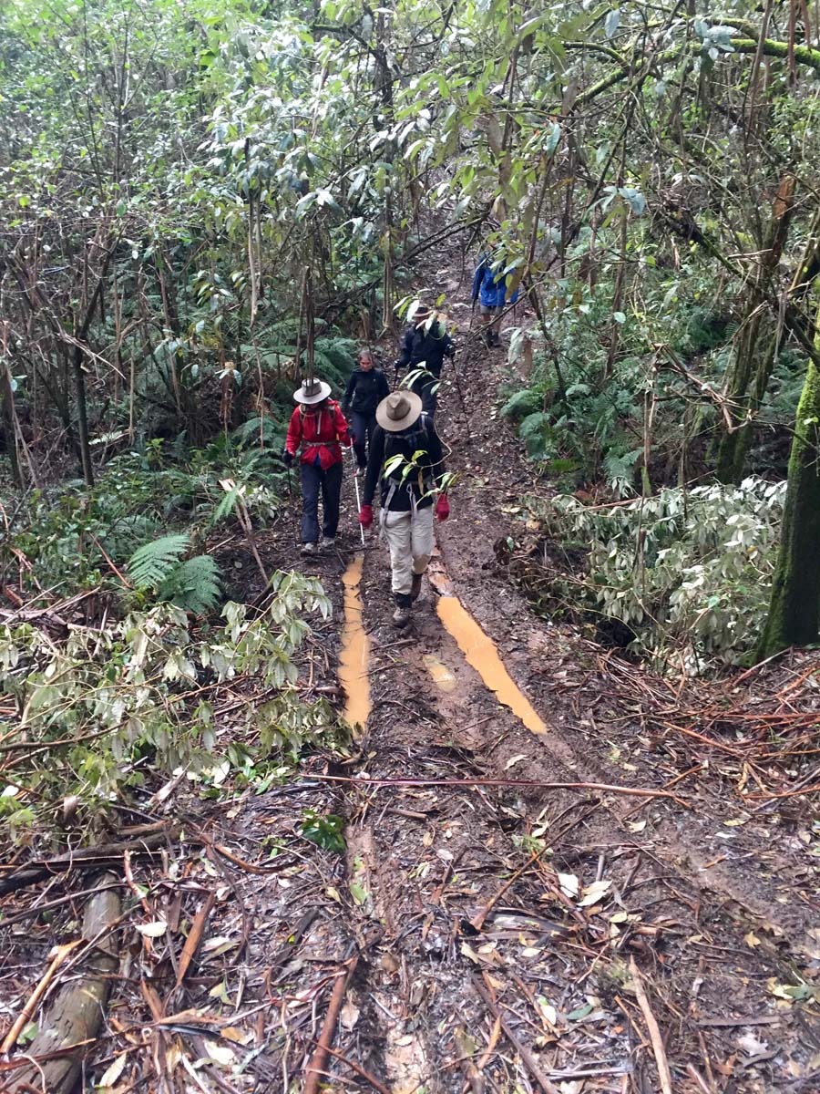Blue mount & mount wilson hike 22