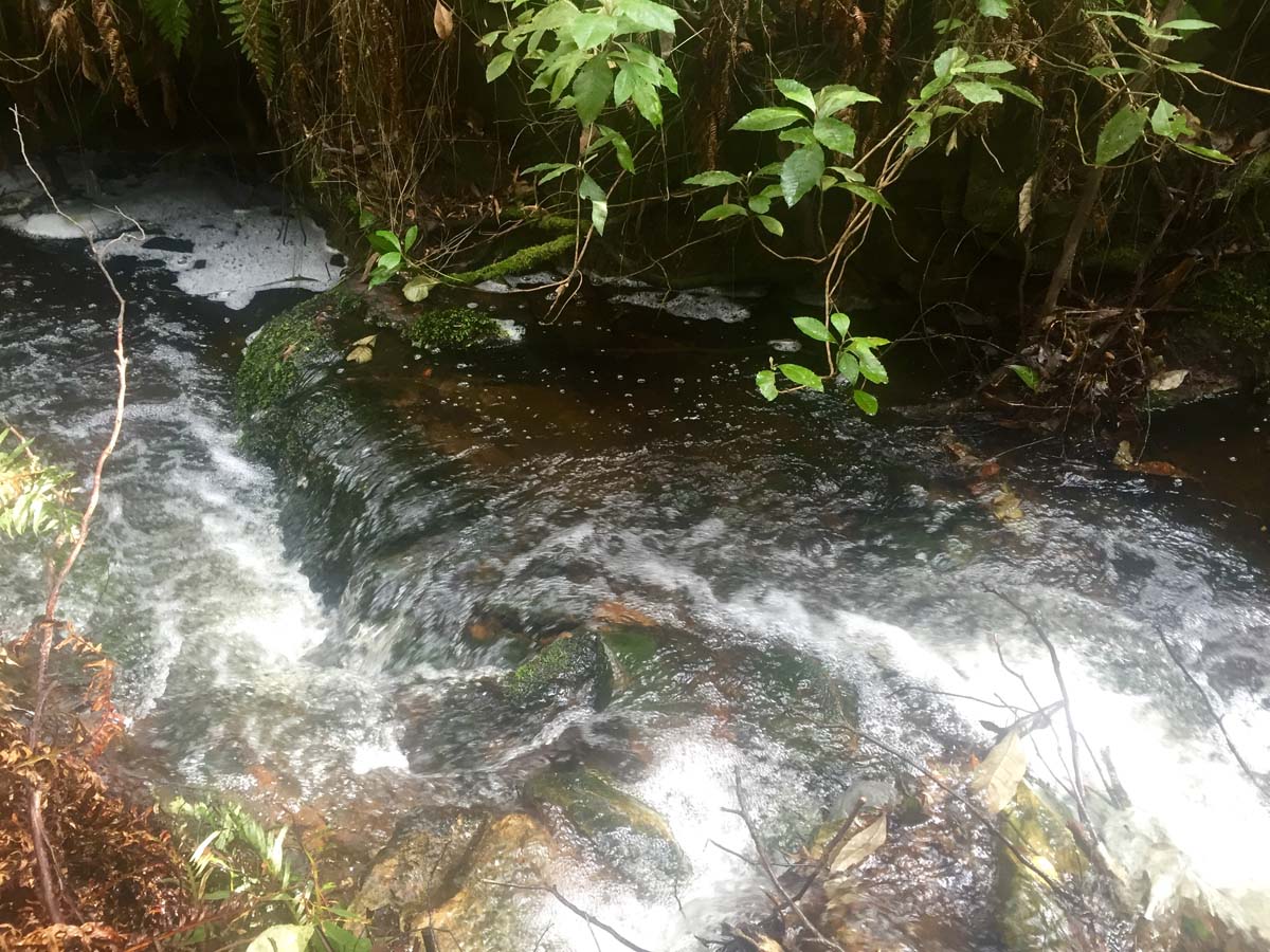 Blue mount & mount wilson hike 27