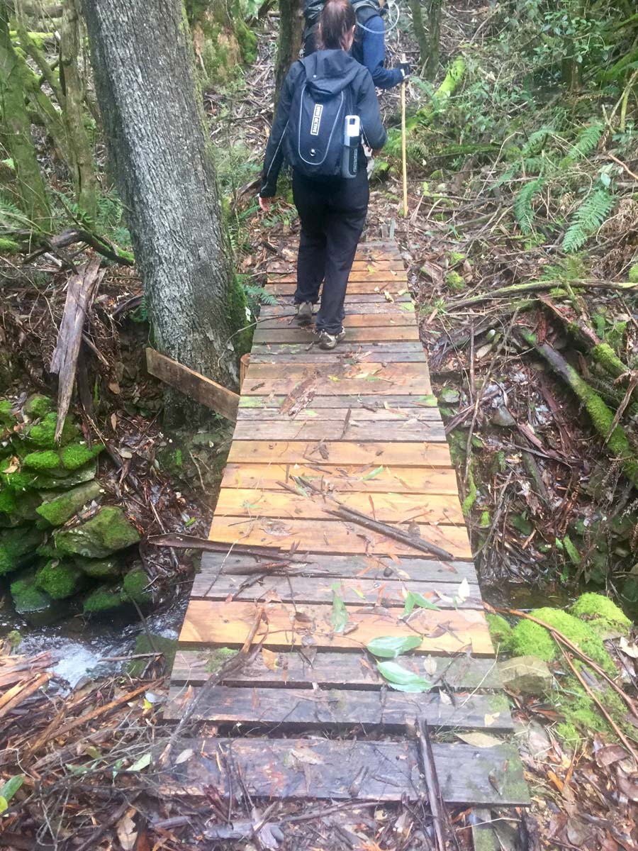 Blue mount & mount wilson hike 29
