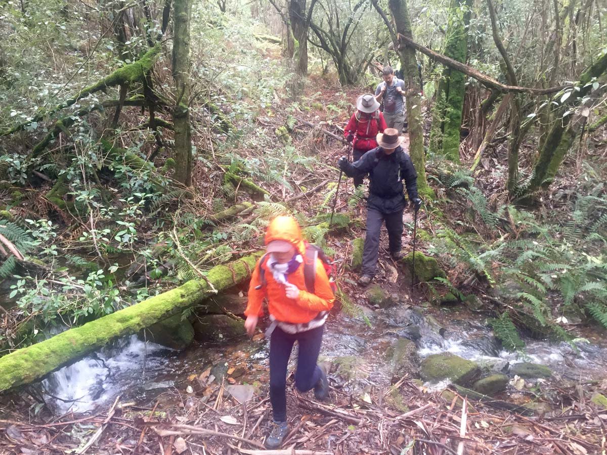 Blue mount & mount wilson hike 30