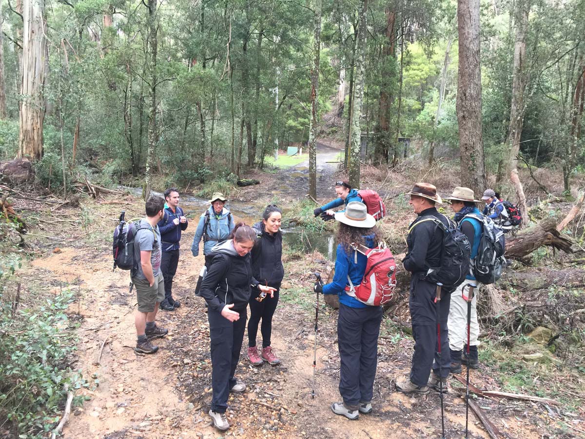Blue mount & mount wilson hike 61