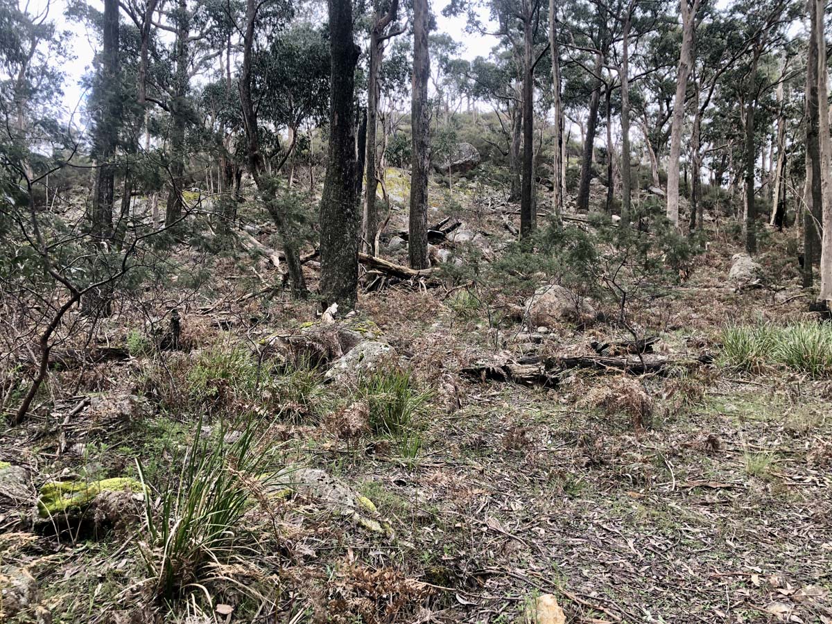 Borella walk ben nevis hike 4