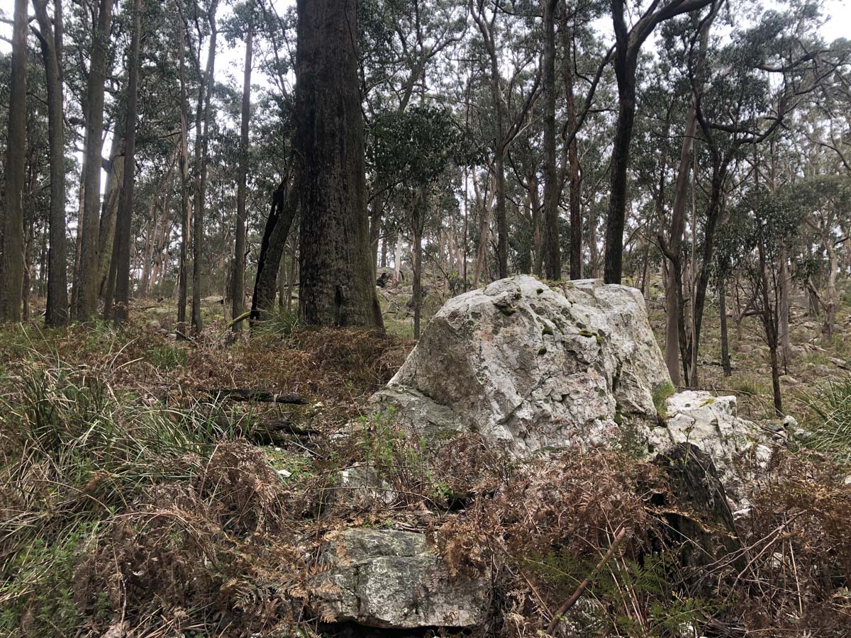 Borella walk ben nevis hike 5