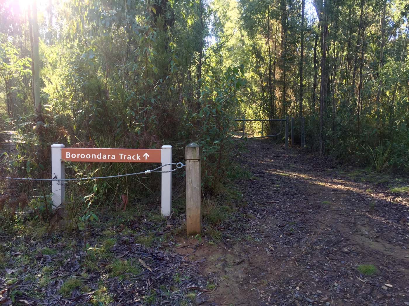 Boroondara track (1)