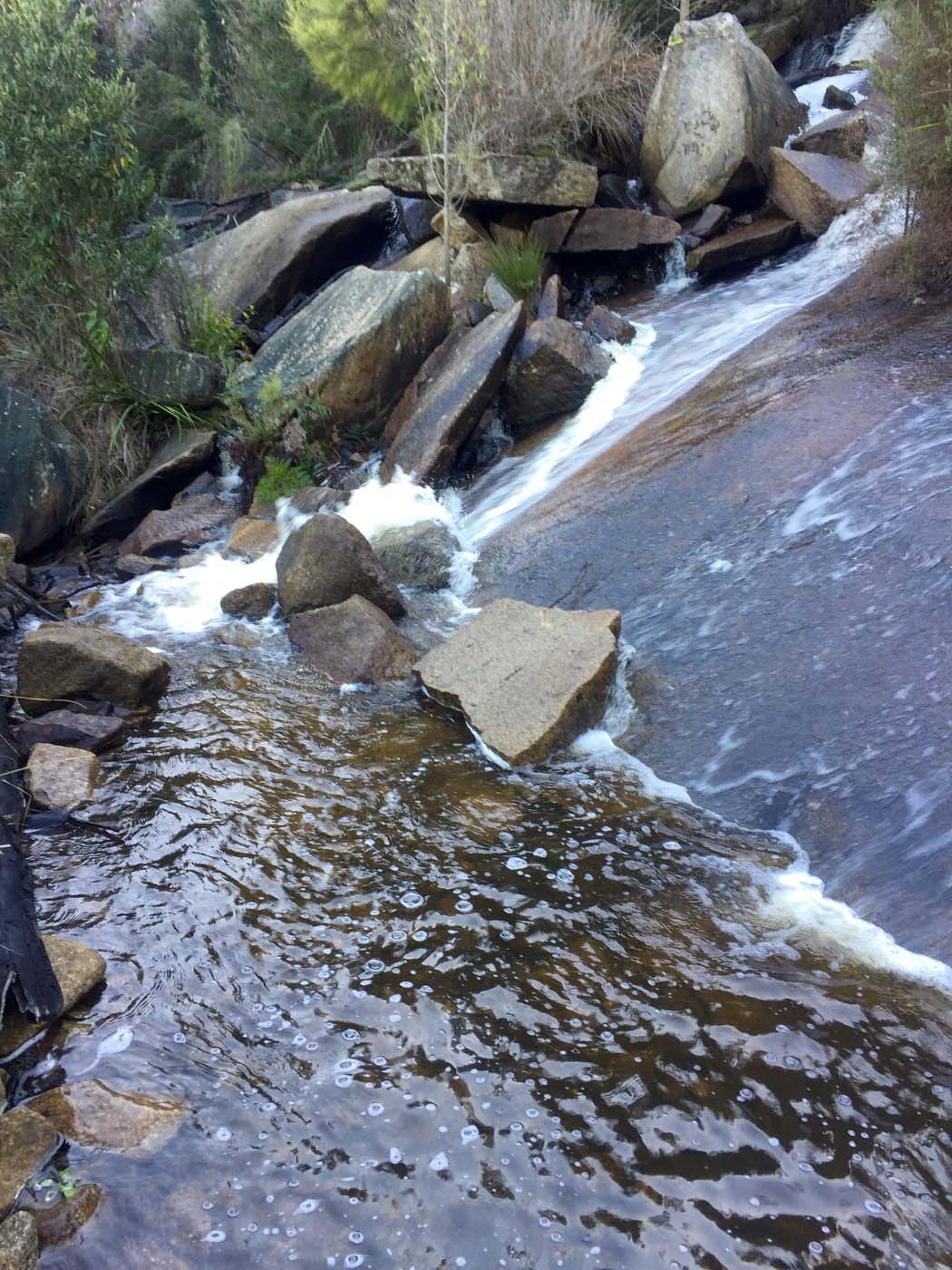 Boroondara track (11)