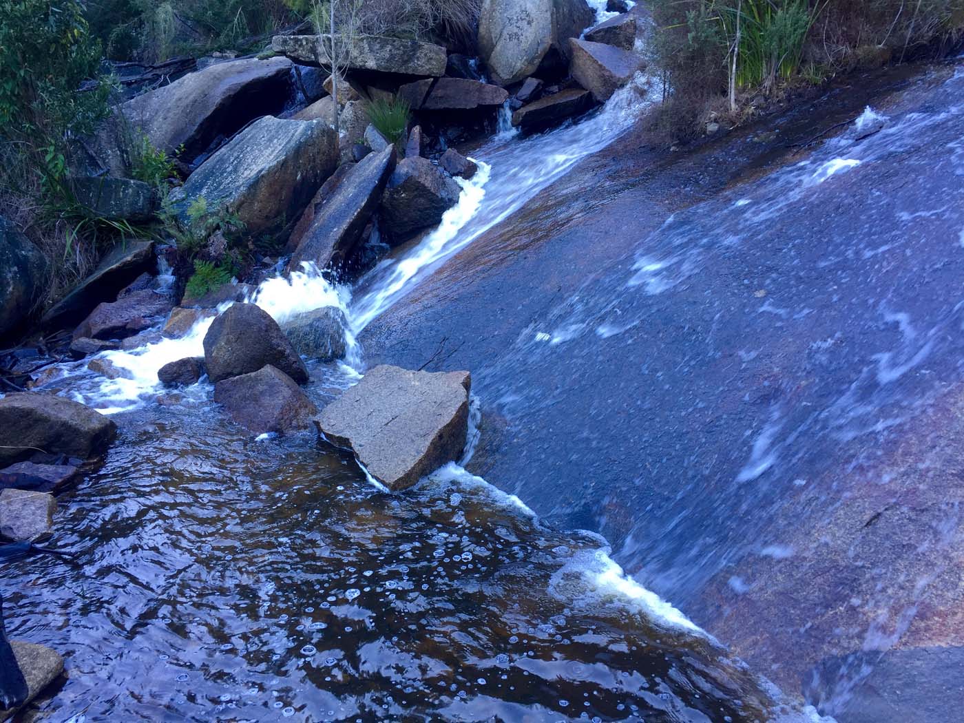 Boroondara track (12)