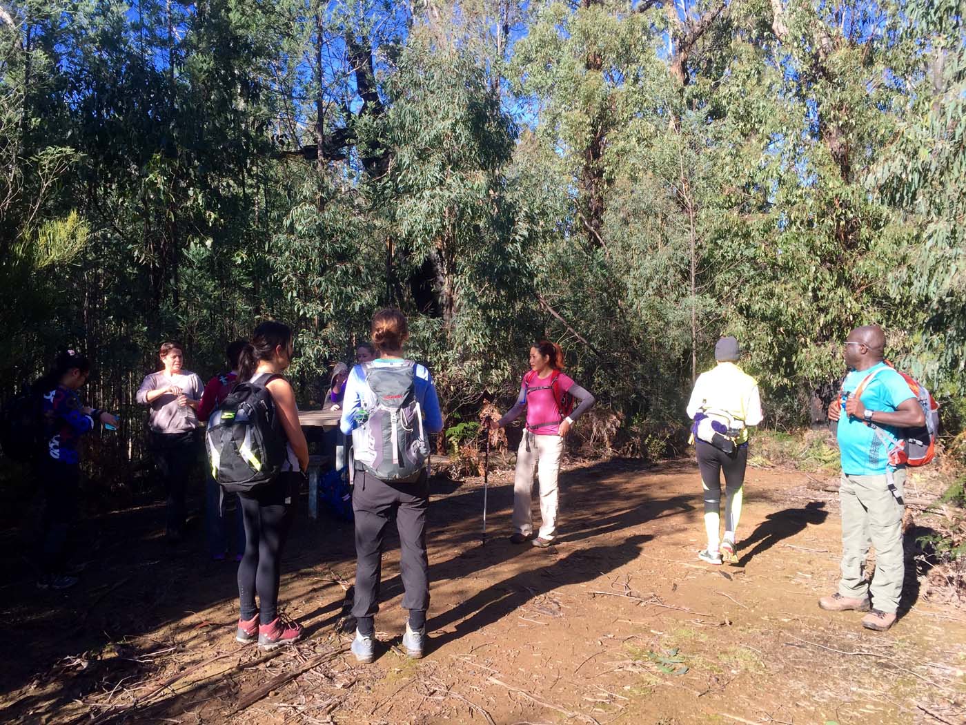 Boroondara track (3)