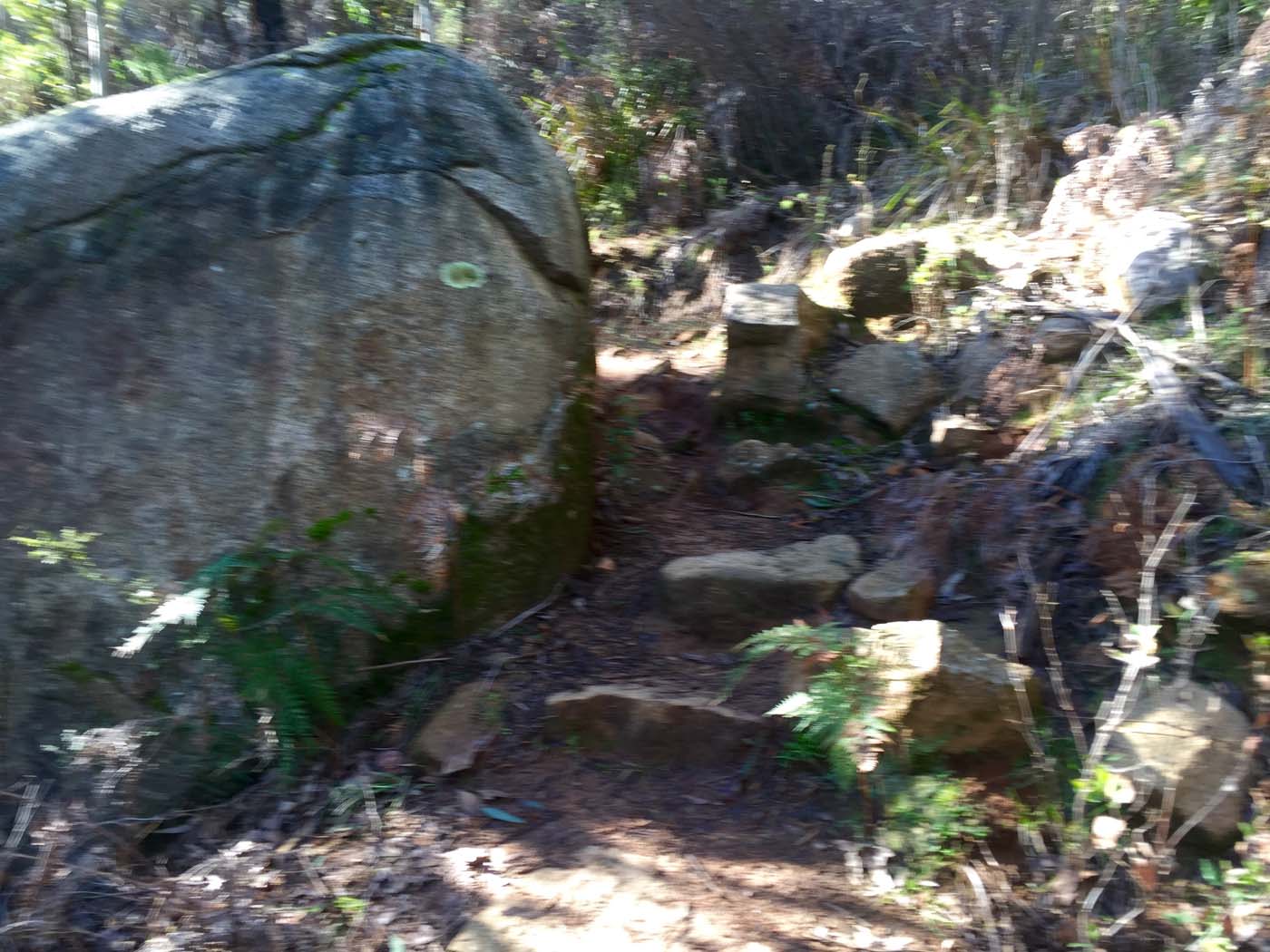 Boroondara track (5)