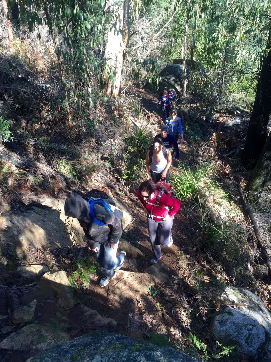 Boroondara track (6)