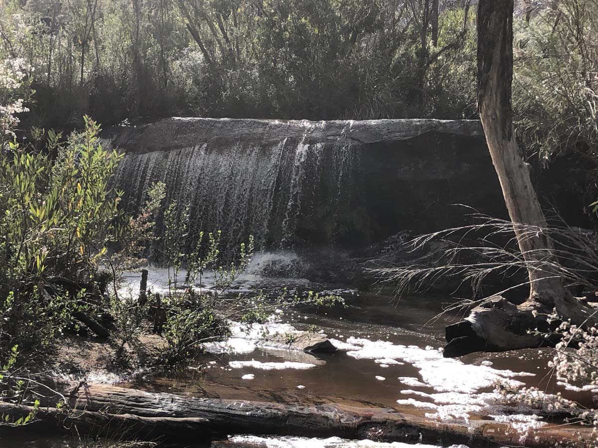 Briggs bluff gar waterfalls hike 3