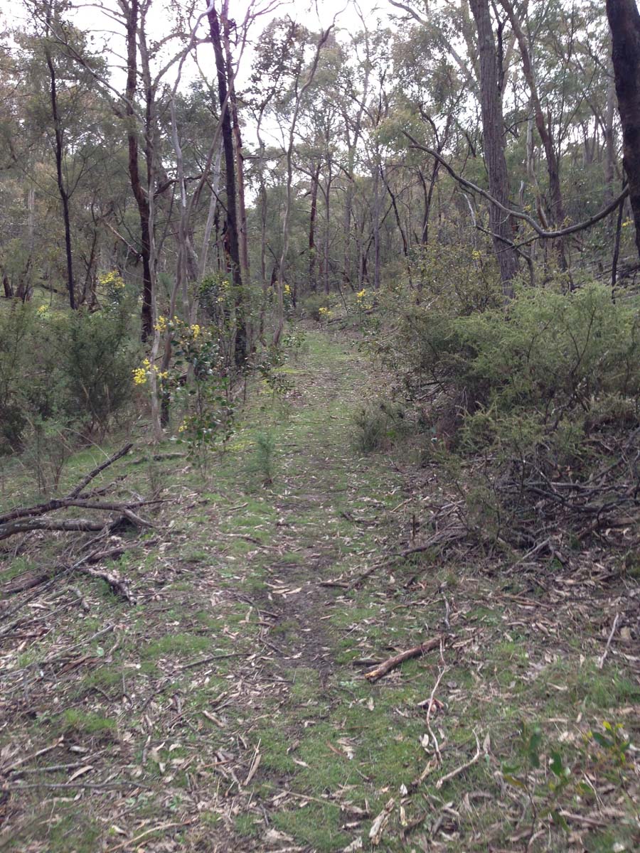 Brisbane ranges loop hike 12