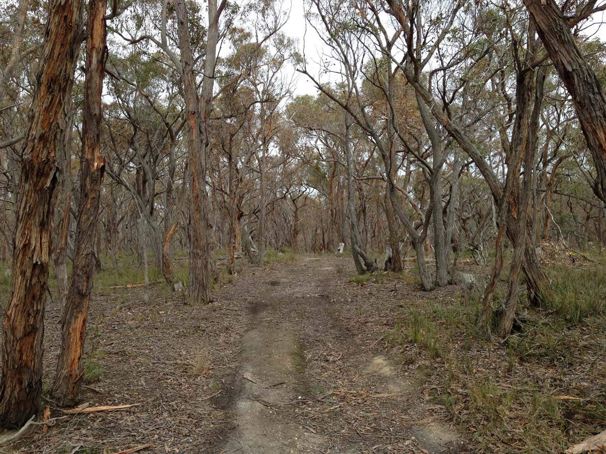 Brisbane ranges loop hike 16