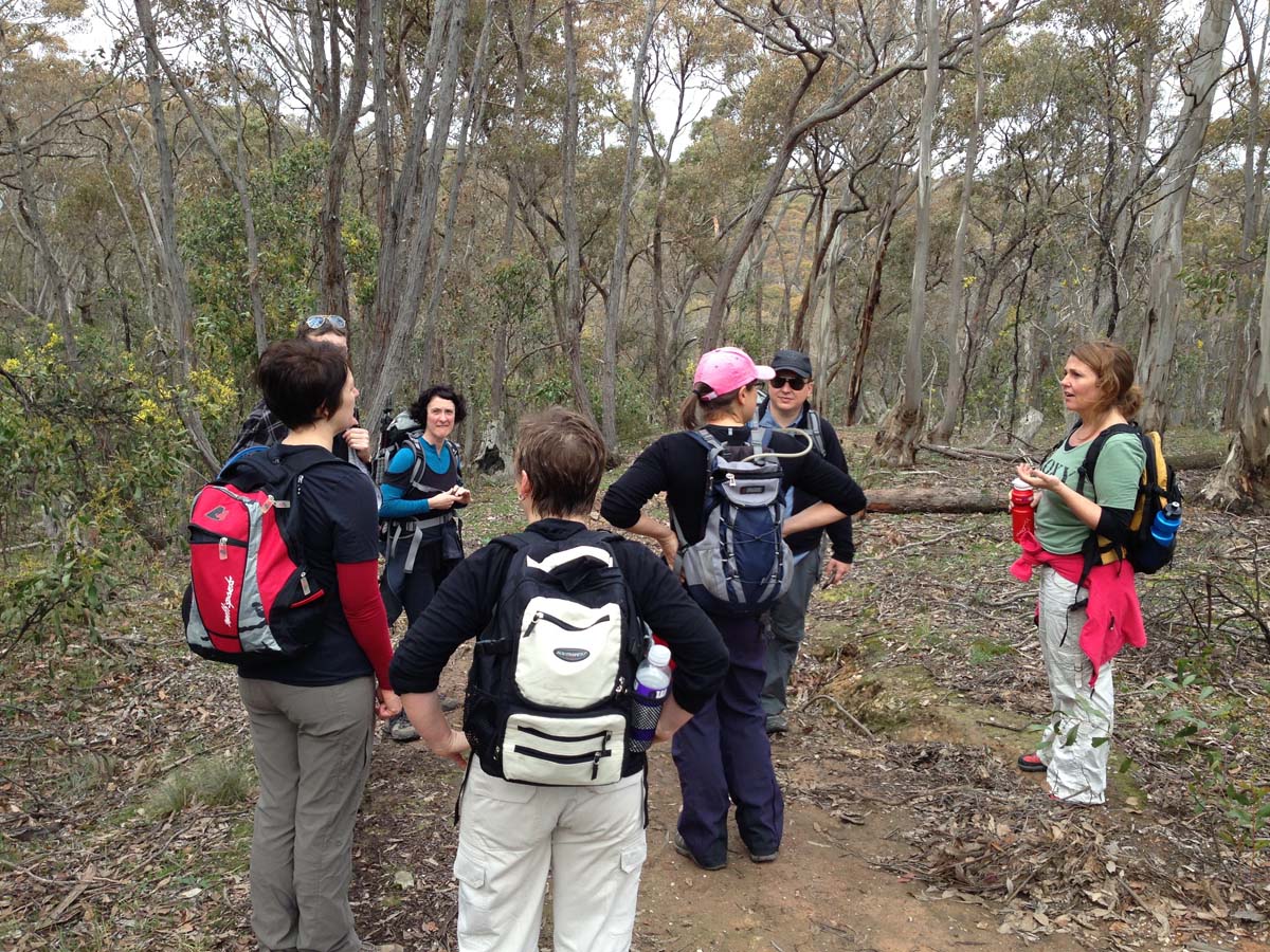 Brisbane ranges loop hike 17