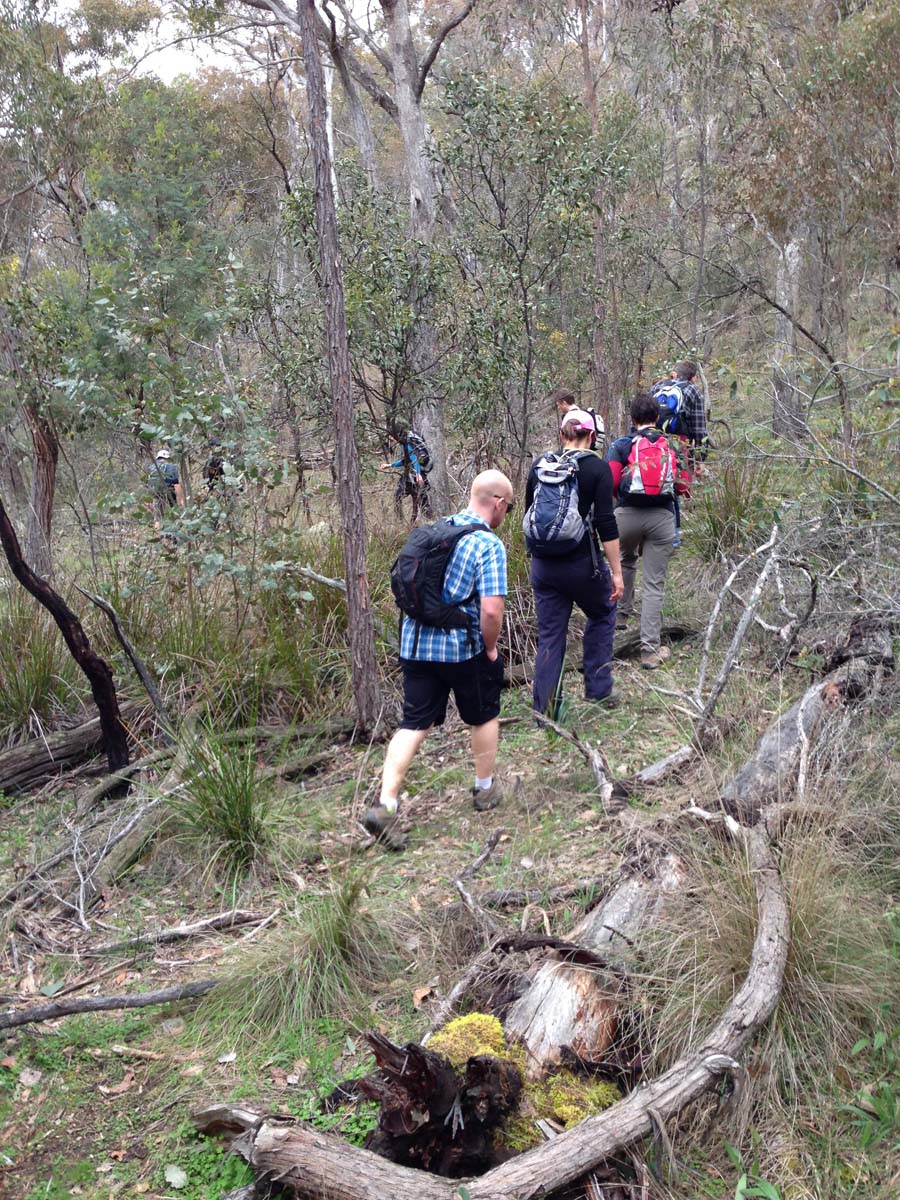 Brisbane ranges loop hike 7