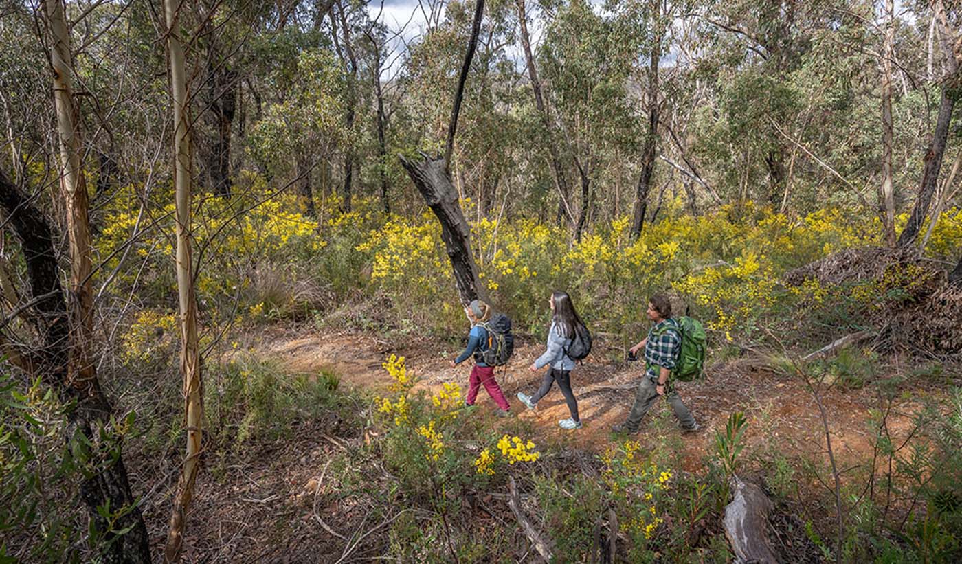 Broad swamp to birds rock 02