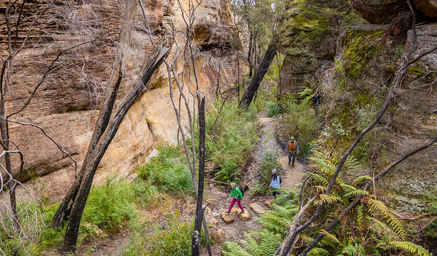 Broad swamp to birds rock 06